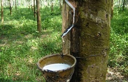 ��Ȼ���z�r���ϝq��ʹ��Ь�r����