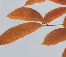 ���z���~�t