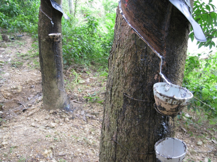 ���z�䣨�}�D�� - ����� - һ��ꖹ�Ĳ���